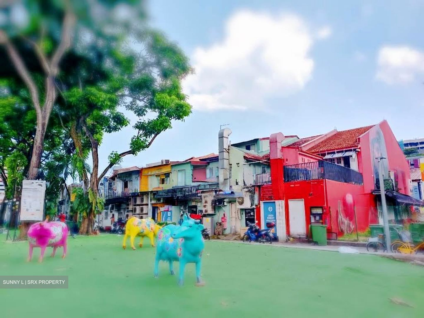 Little India Conservation Area (D8), Shop House #585921771